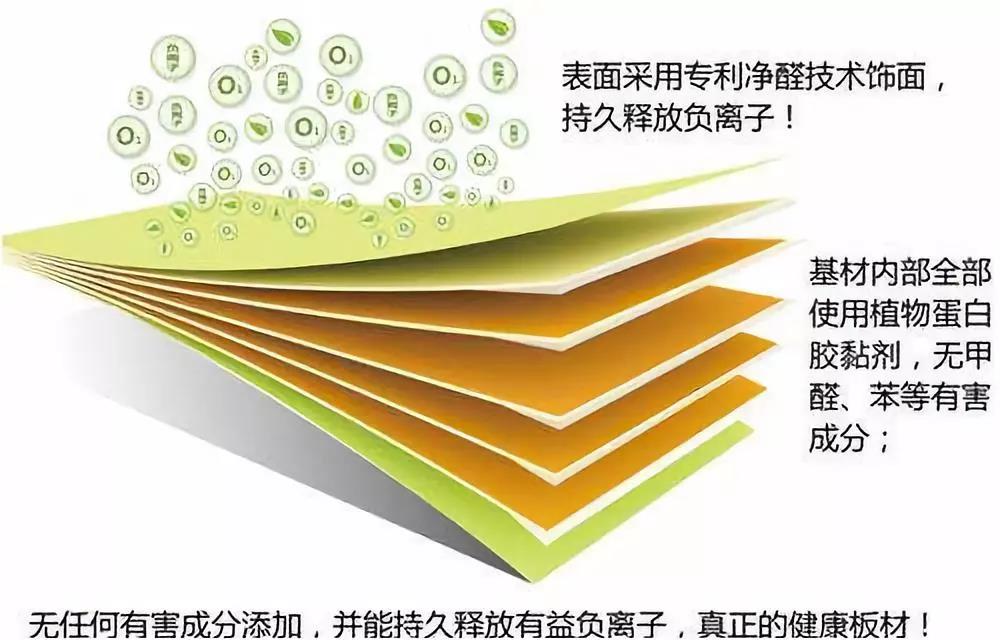 濃情端午,粽葉飄香 環(huán)保生活，健康你我